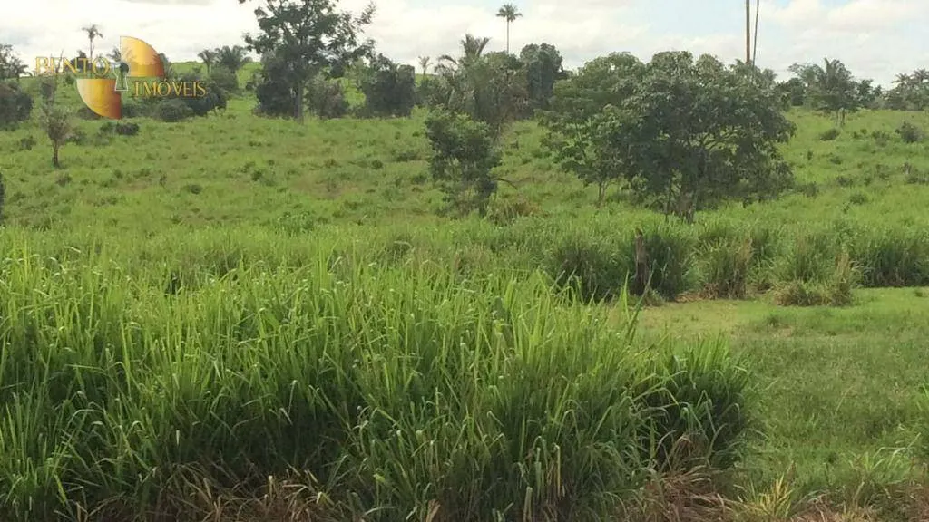 Farm for sale of 2,691 acres in Nova Bandeirantes, MT, Brazil