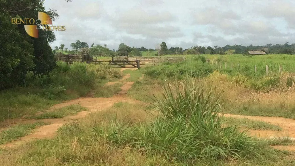 Farm for sale of 2,691 acres in Nova Bandeirantes, MT, Brazil