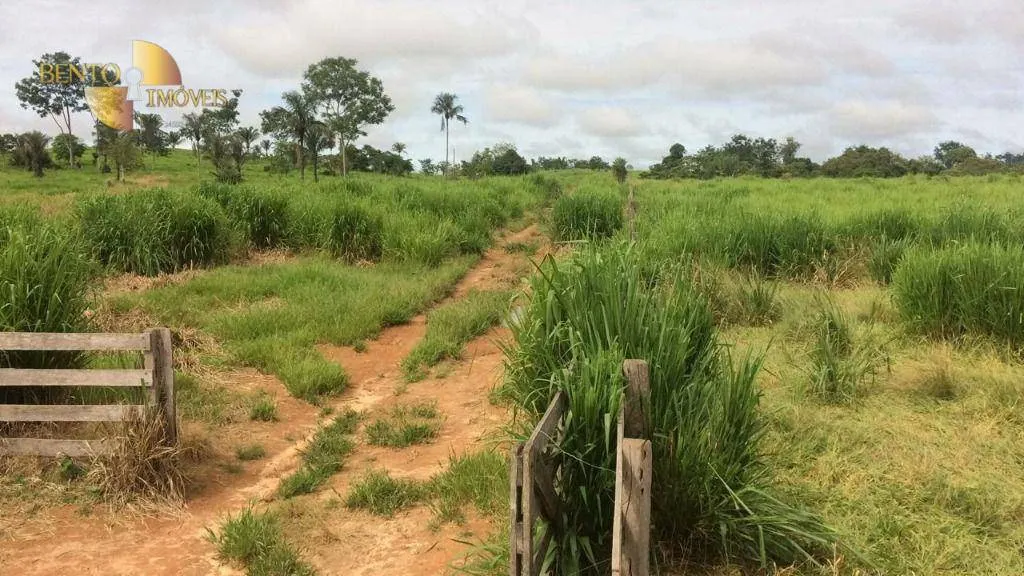 Farm for sale of 2,691 acres in Nova Bandeirantes, MT, Brazil