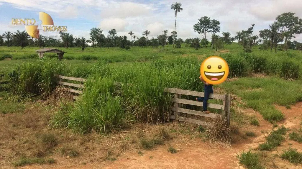Farm for sale of 2,691 acres in Nova Bandeirantes, MT, Brazil