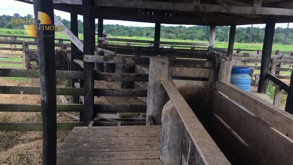 Farm for sale of 2,691 acres in Nova Bandeirantes, MT, Brazil