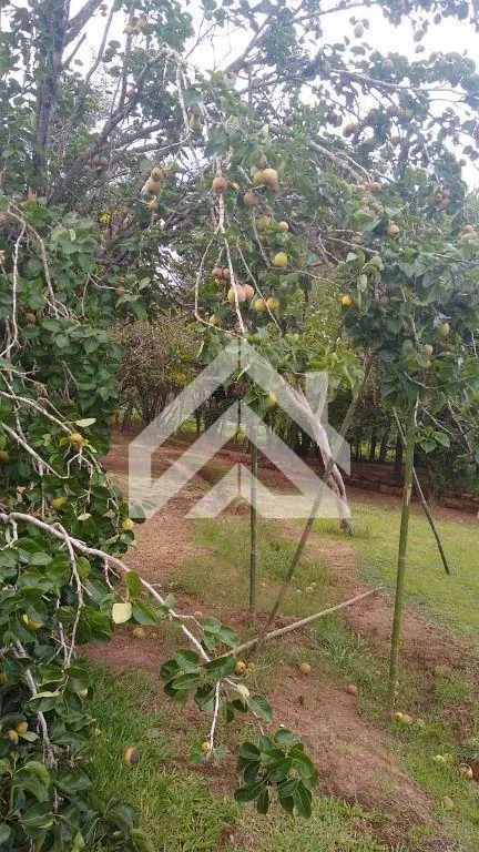 Country home for sale of 300 m² in Rio Claro, SP, Brazil