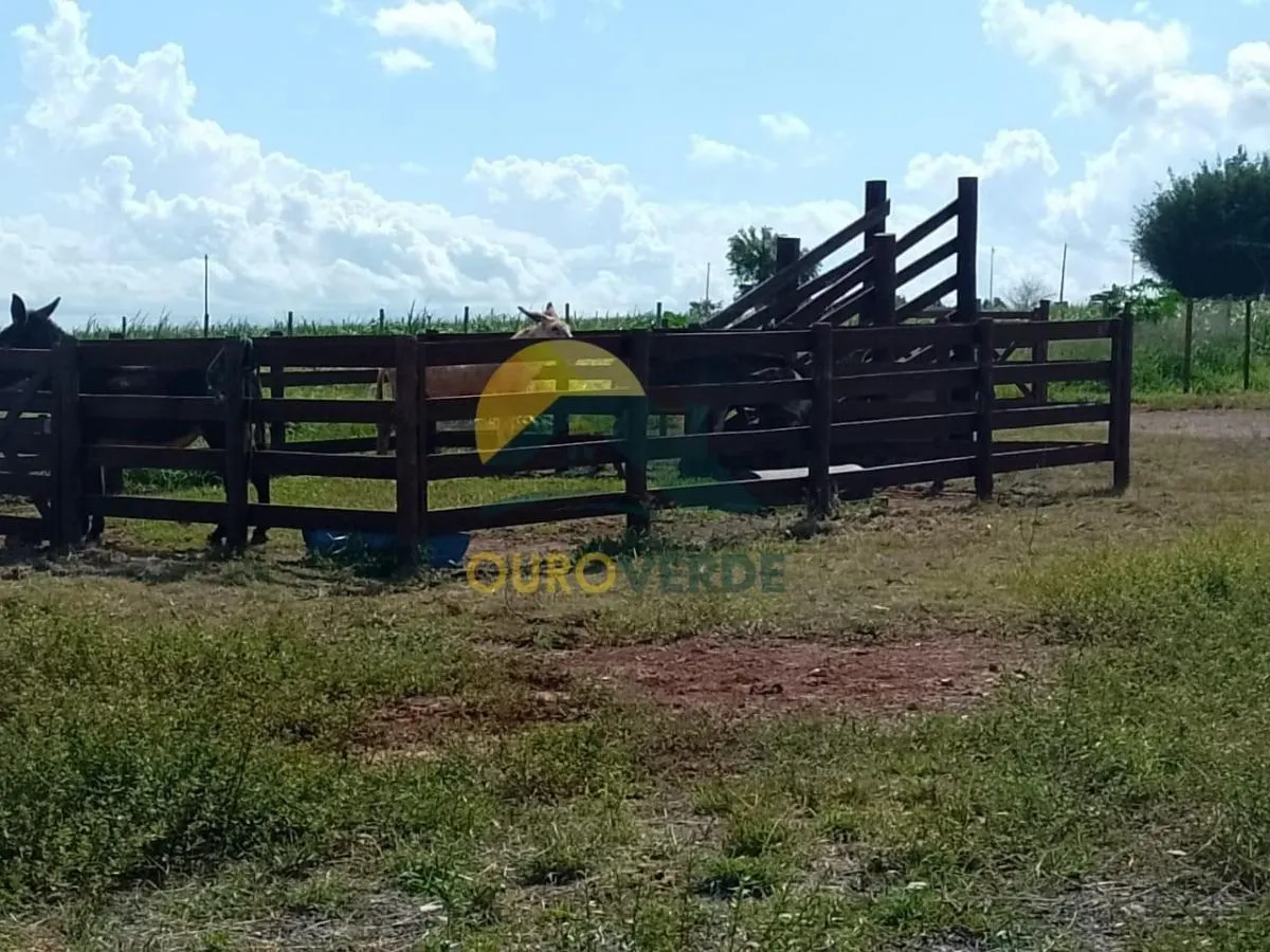 Sítio à venda de 10 ha em Porangaba, SP, Brasil