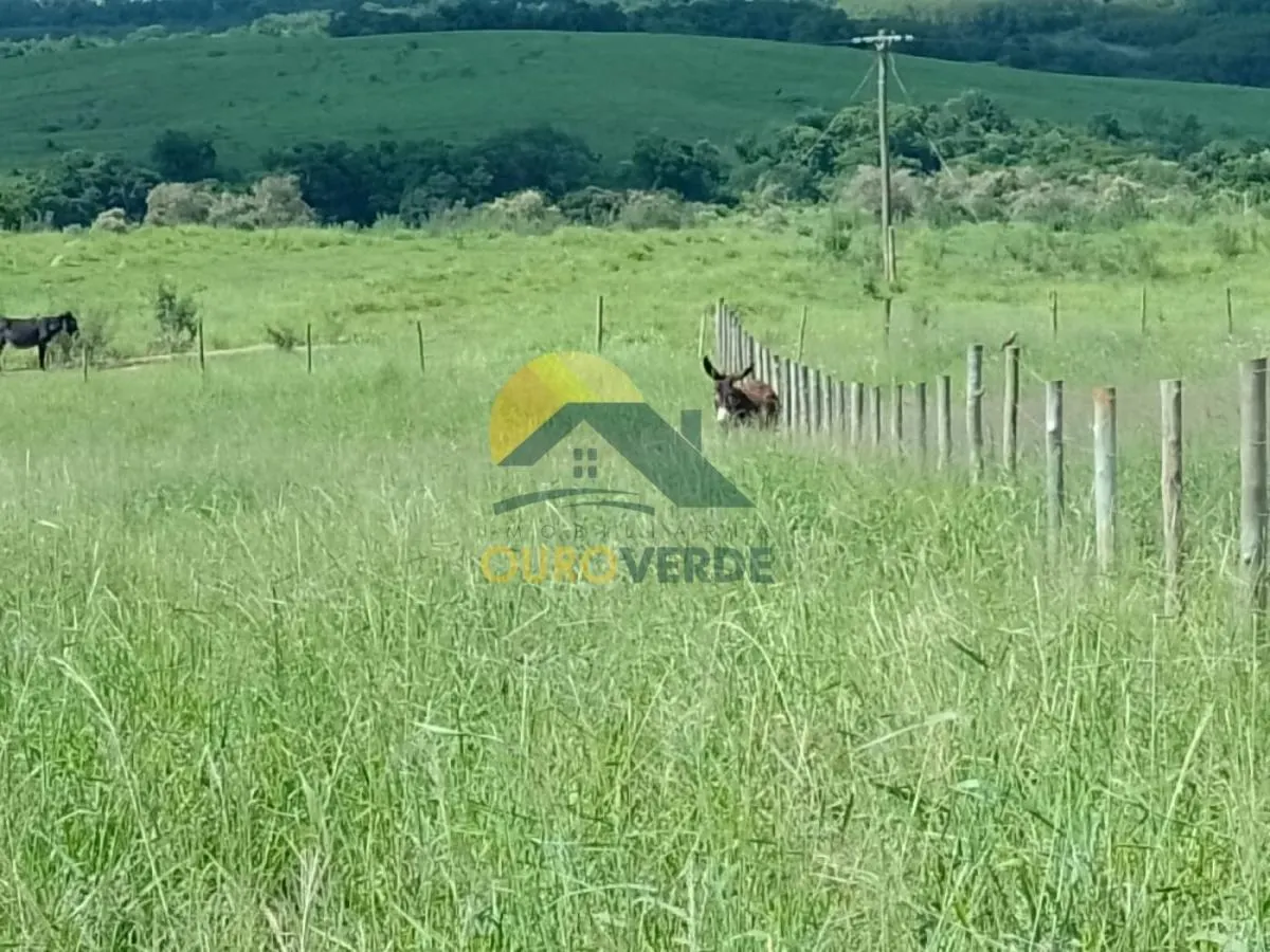 Sítio à venda de 10 ha em Porangaba, SP, Brasil