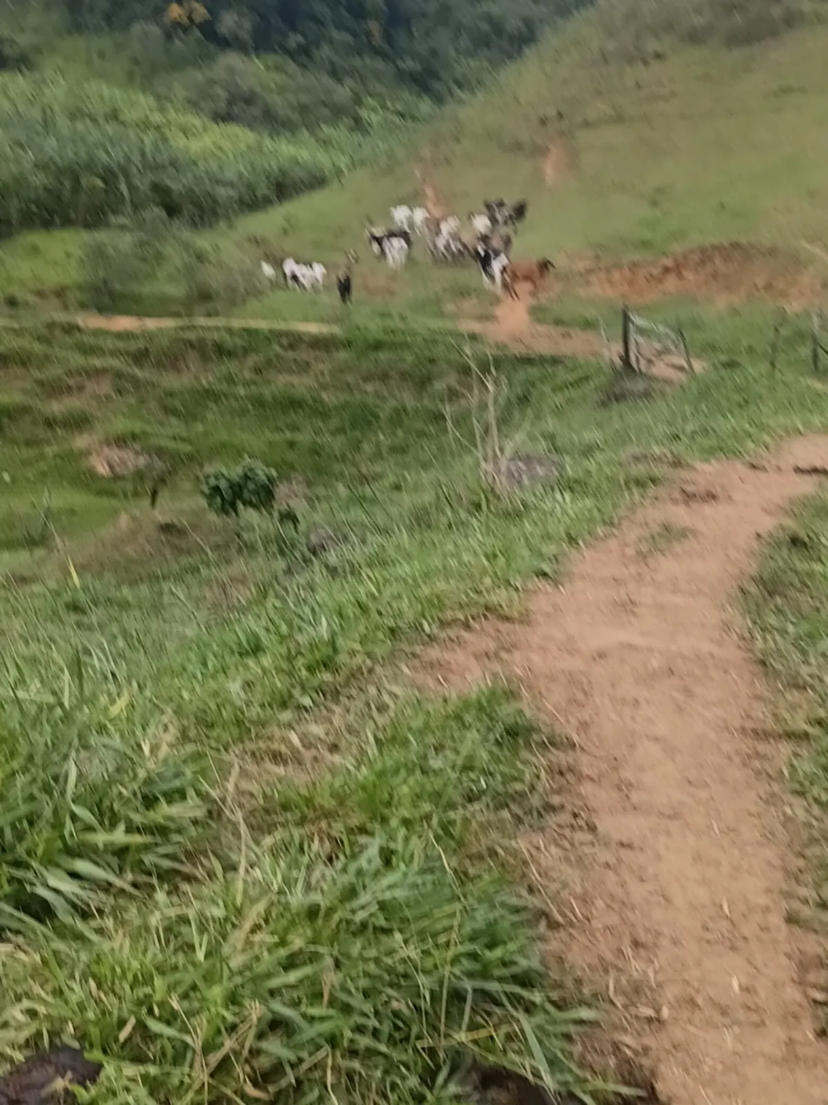 Sítio à venda de 131 ha em Guarapari, ES, Brasil