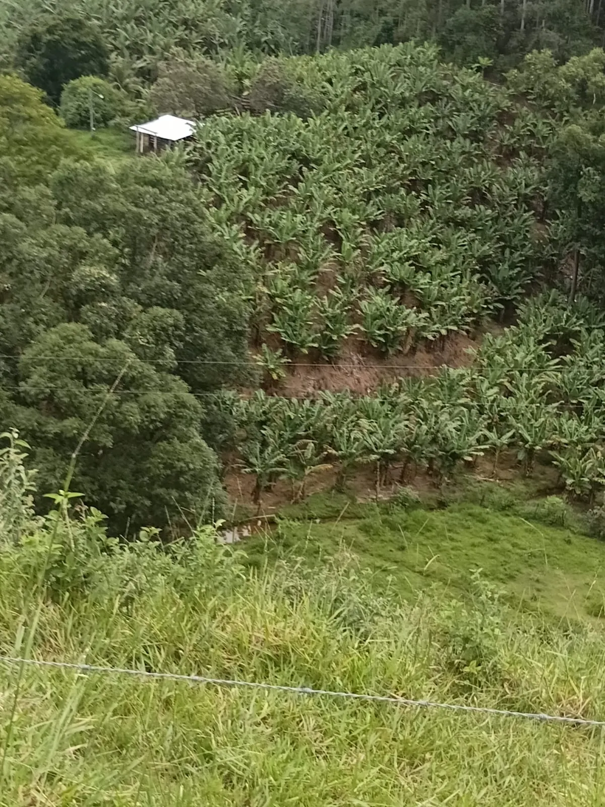 Sítio à venda de 131 ha em Guarapari, ES, Brasil