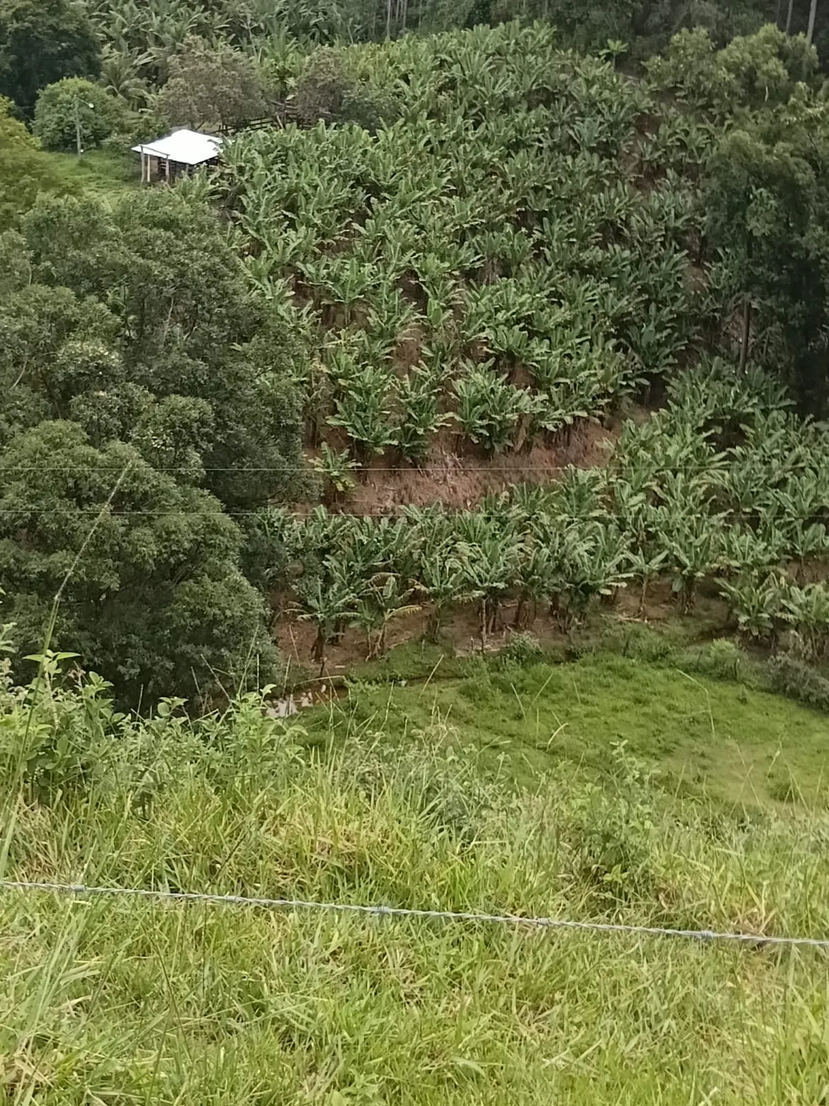 Sítio à venda de 131 ha em Guarapari, ES, Brasil