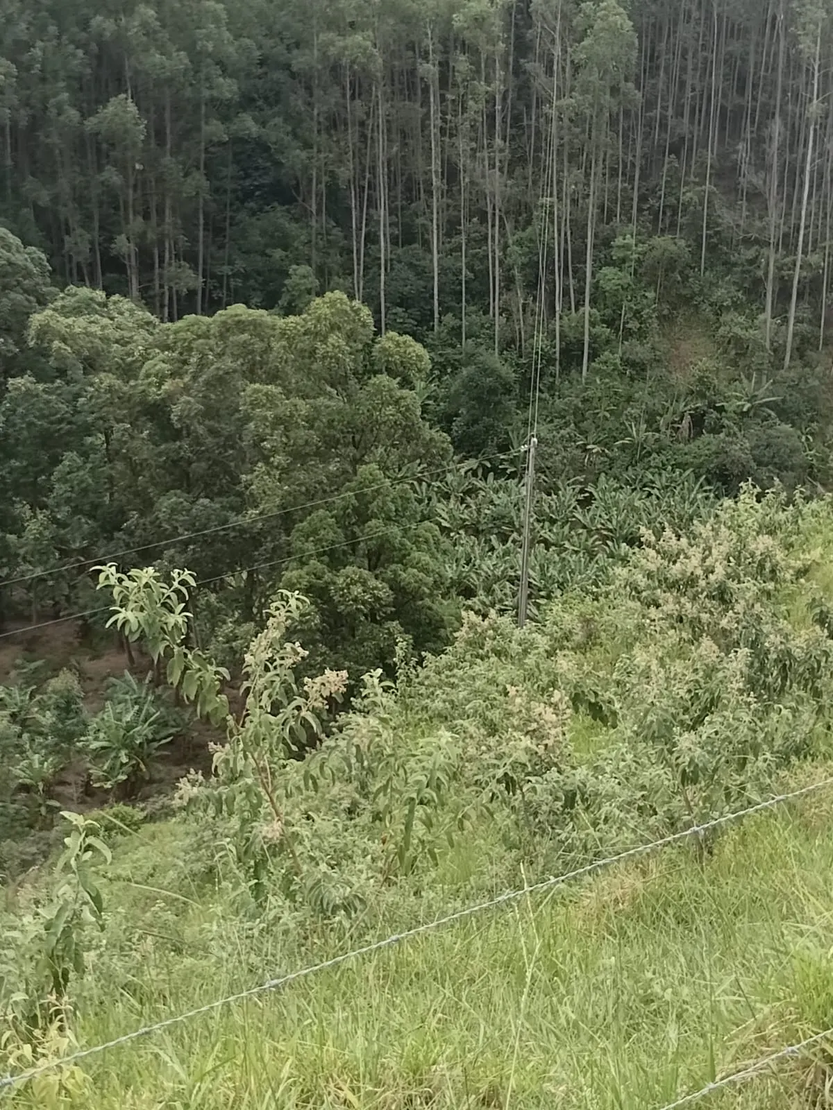 Sítio à venda de 131 ha em Guarapari, ES, Brasil