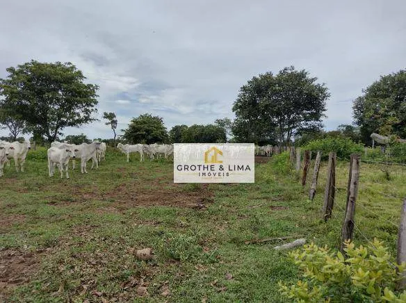 Fazenda à venda de 847 ha em Cocalinho, MT, Brasil