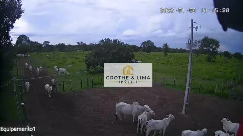 Farm for sale of 2,093 acres in Cocalinho, MT, Brazil