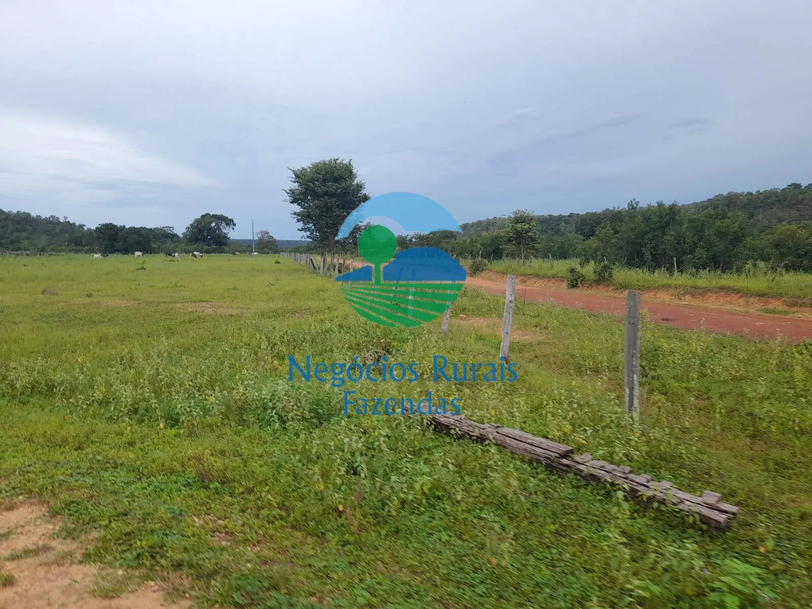 Fazenda à venda de 4.461 ha em Goiatins, TO, Brasil