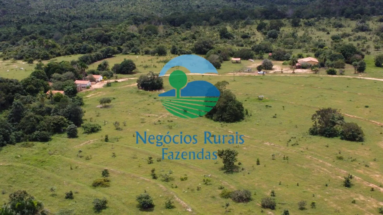 Fazenda à venda de 4.461 ha em Goiatins, TO, Brasil