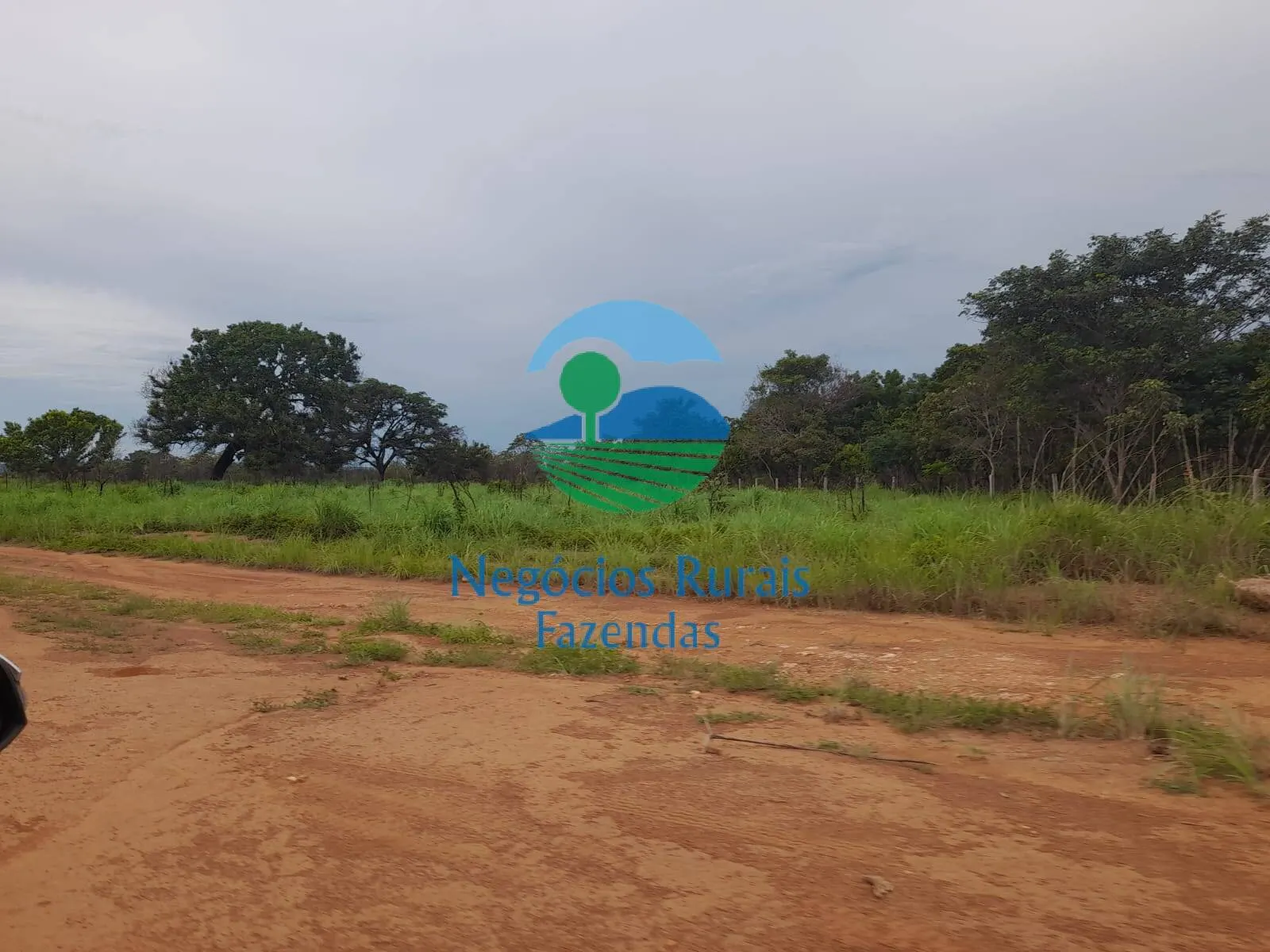 Fazenda à venda de 4.461 ha em Goiatins, TO, Brasil