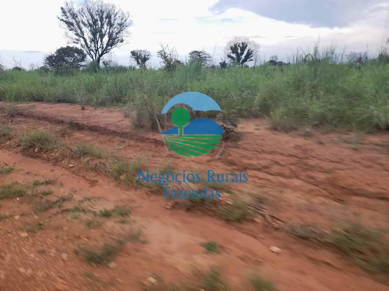 Fazenda à venda de 4.461 ha em Goiatins, TO, Brasil