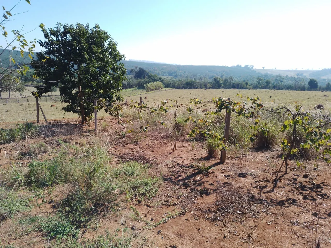 Country home for sale of 6 acres in Angatuba, SP, Brazil
