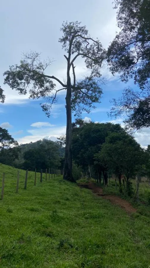Fazenda à venda de 190 ha em Carvalhos, MG, Brasil