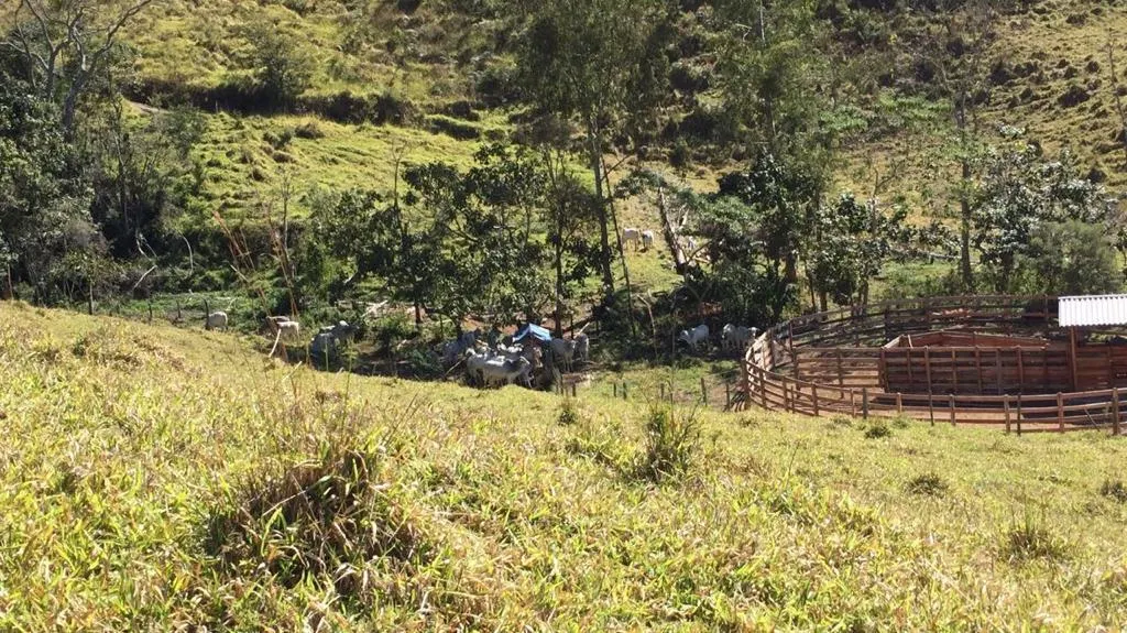 Fazenda à venda de 190 ha em Carvalhos, MG, Brasil