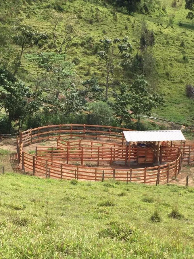 Fazenda à venda de 190 ha em Carvalhos, MG, Brasil