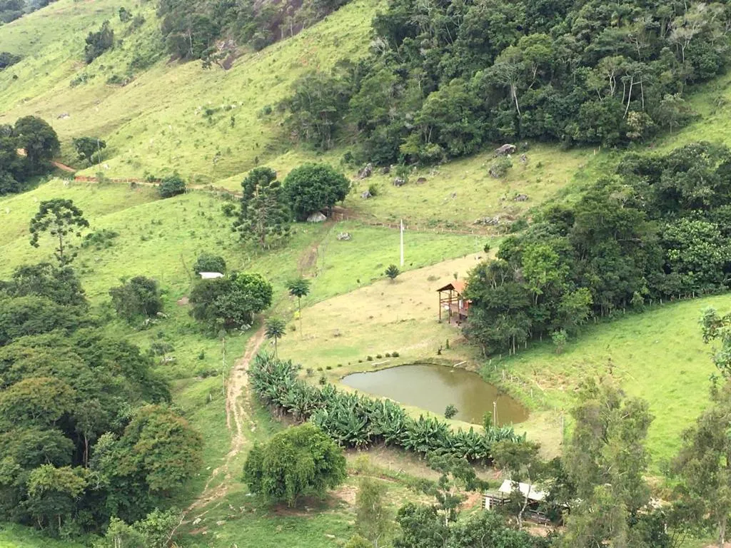Fazenda à venda de 190 ha em Carvalhos, MG, Brasil