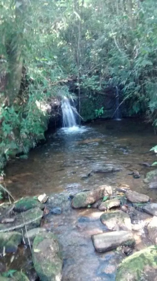 Fazenda à venda de 190 ha em Carvalhos, MG, Brasil