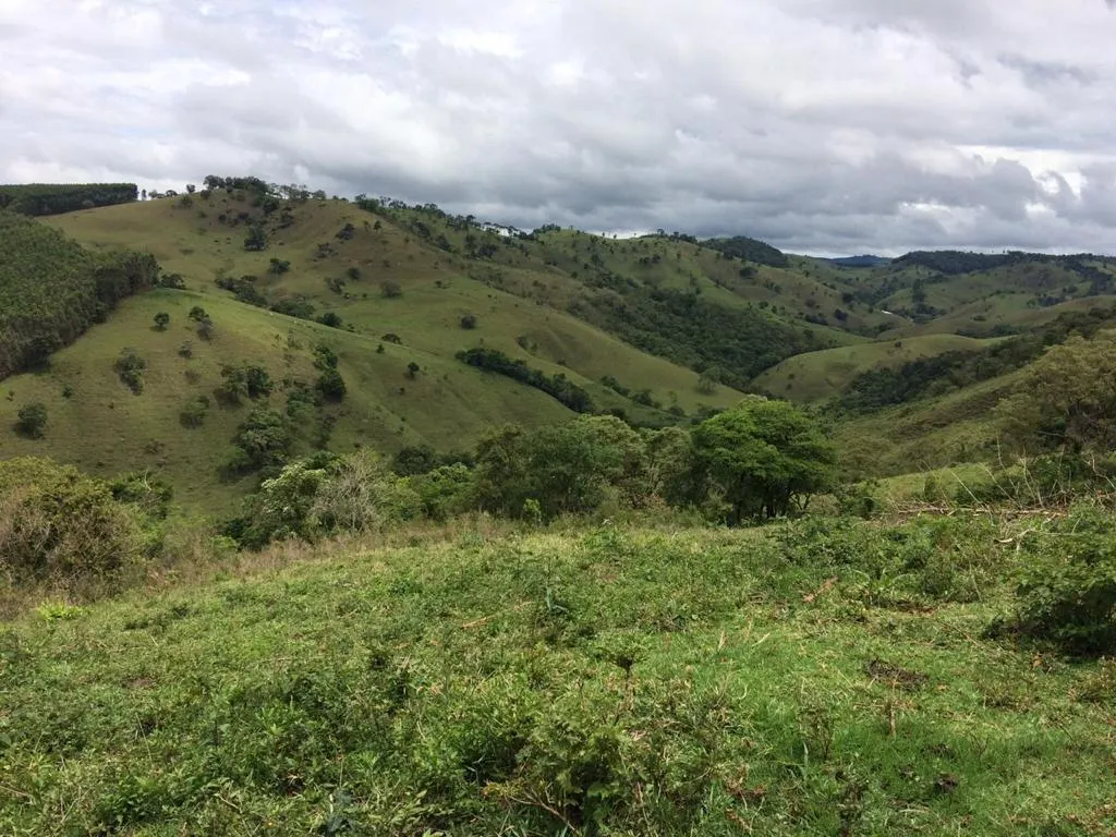 Fazenda à venda de 190 ha em Carvalhos, MG, Brasil