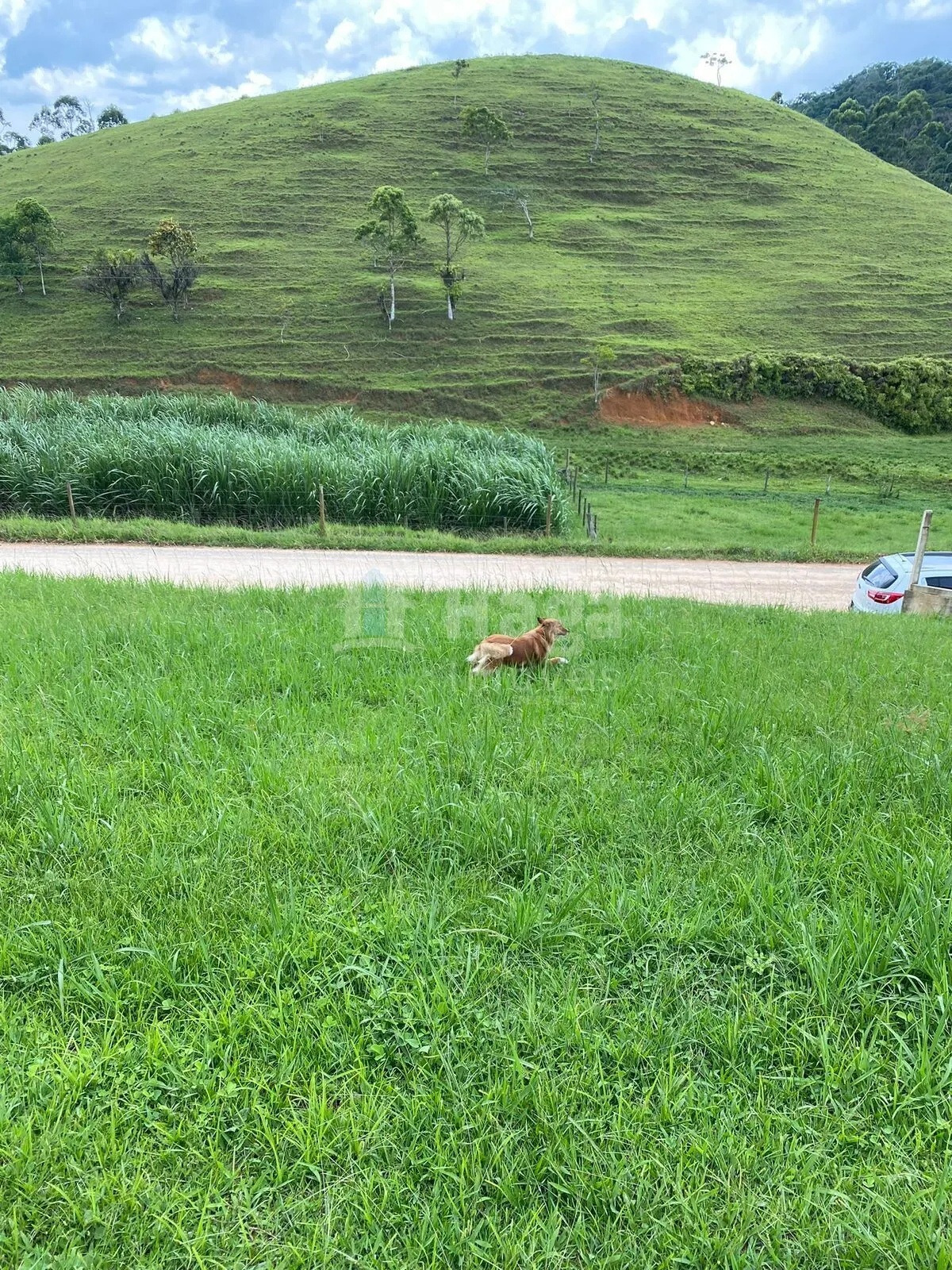 Plot for sale of 375 m² in Itajaí, SC, Brazil