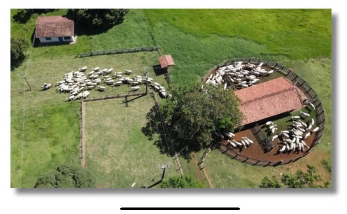 Fazenda à venda de 240 ha em Angatuba, SP, Brasil