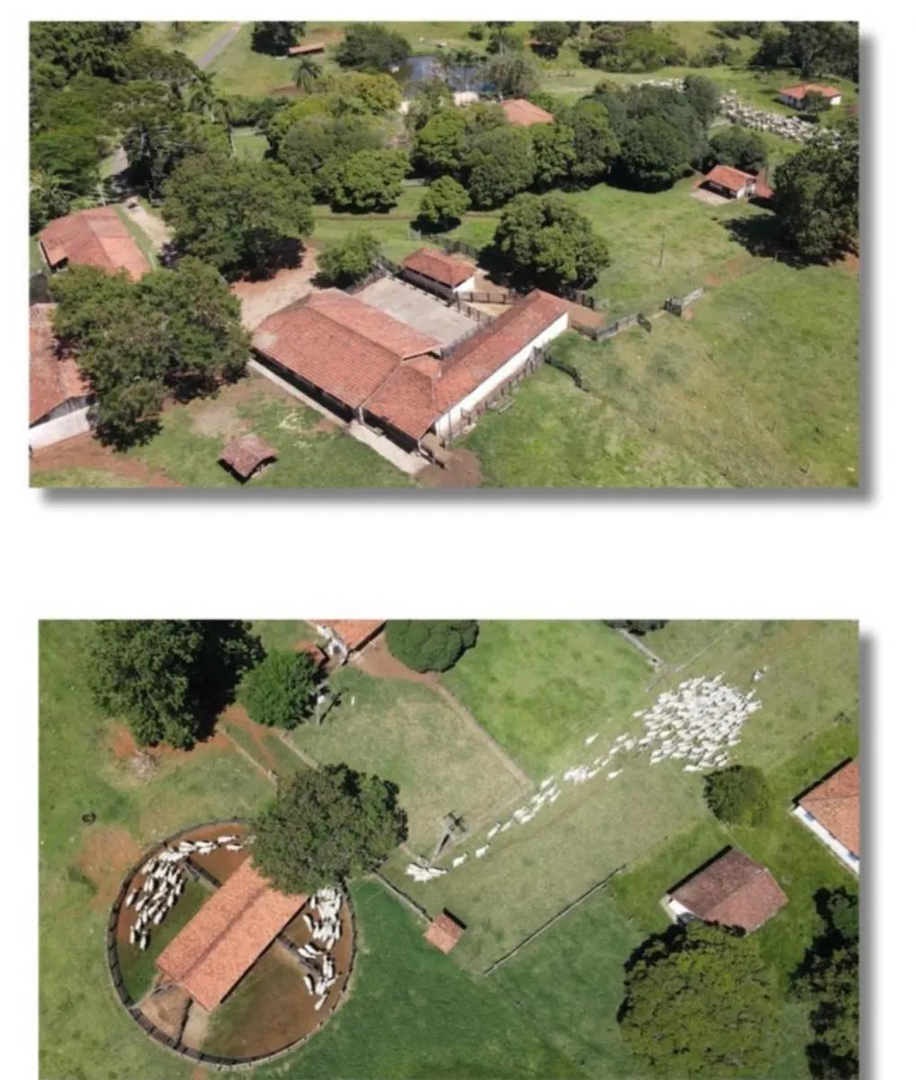 Fazenda à venda de 240 ha em Angatuba, SP, Brasil