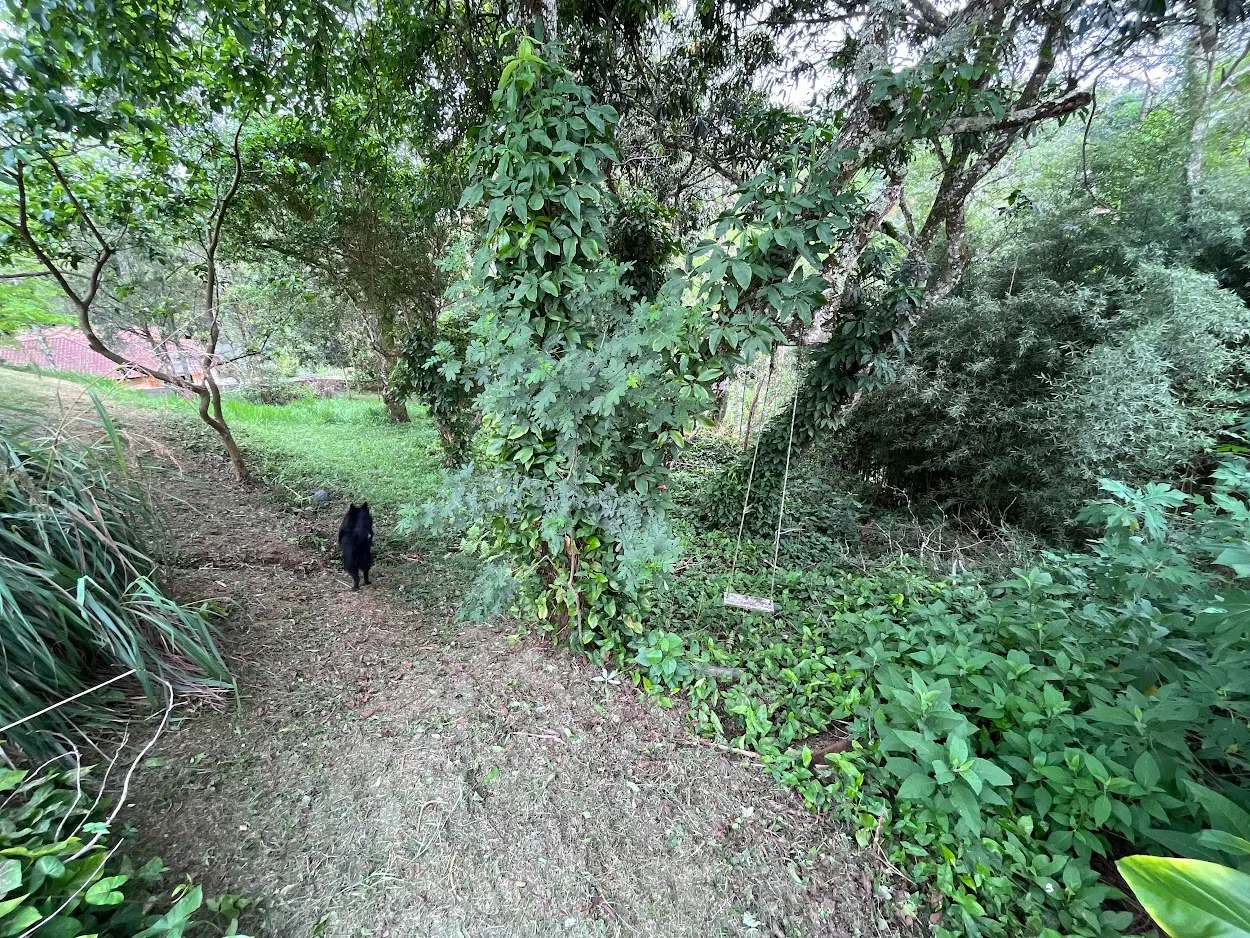 Chácara à venda de 1 ha em São José dos Campos, SP, Brasil