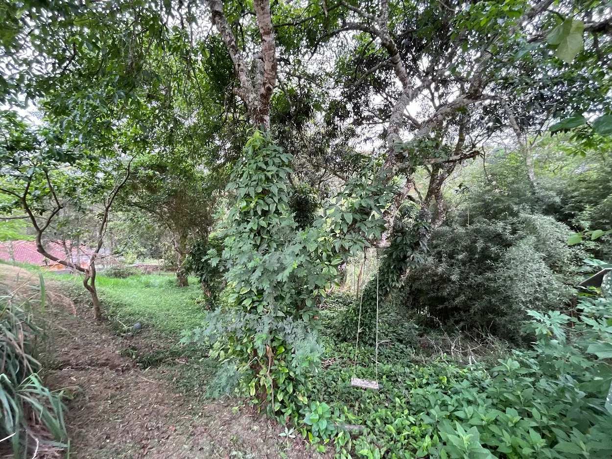 Chácara à venda de 1 ha em São José dos Campos, SP, Brasil