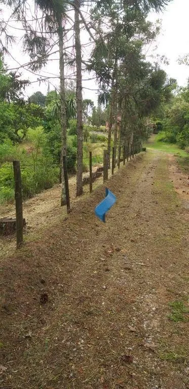 Sítio à venda de 36 ha em Piedade, SP, Brasil