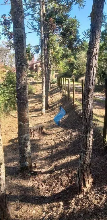 Sítio à venda de 36 ha em Piedade, SP, Brasil