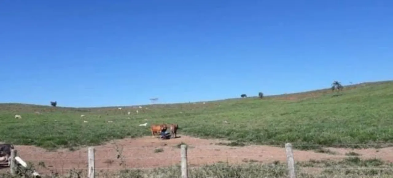 Fazenda à venda de 254 ha em Caçapava, SP, Brasil