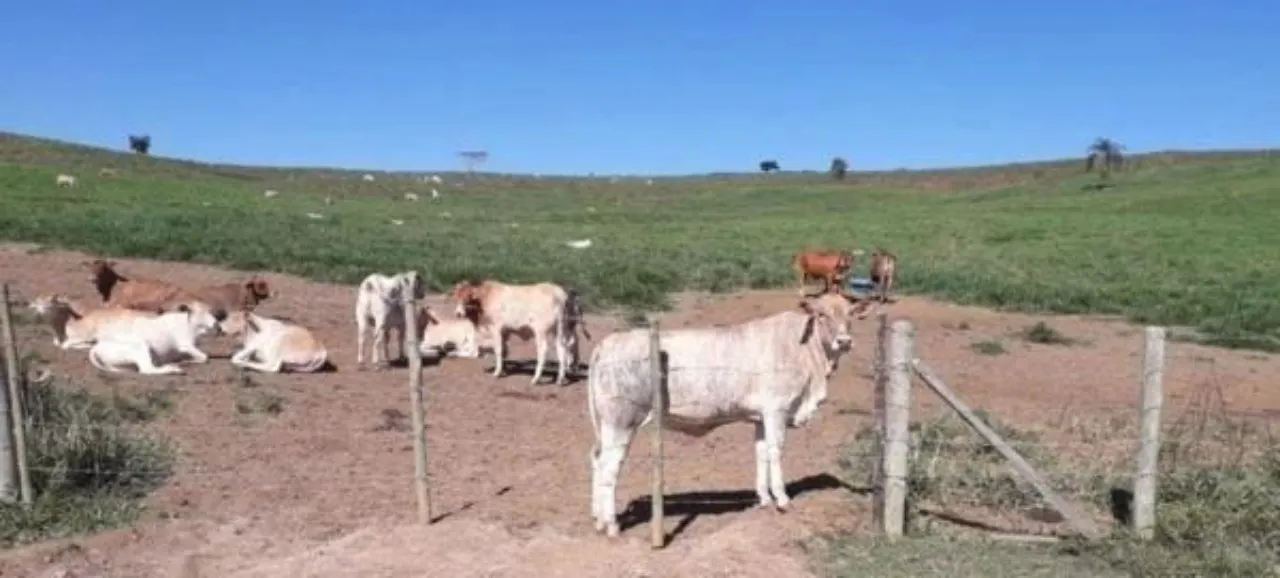 Fazenda à venda de 254 ha em Caçapava, SP, Brasil