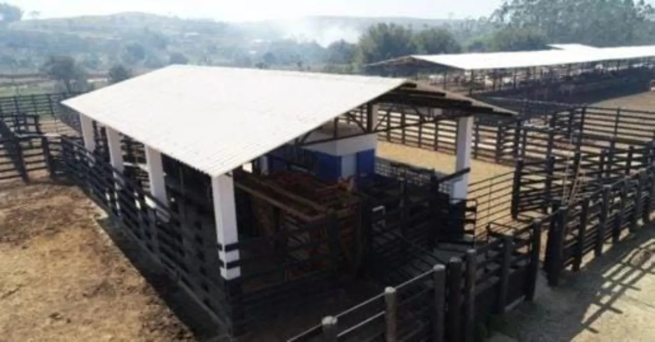 Fazenda à venda de 254 ha em Caçapava, SP, Brasil
