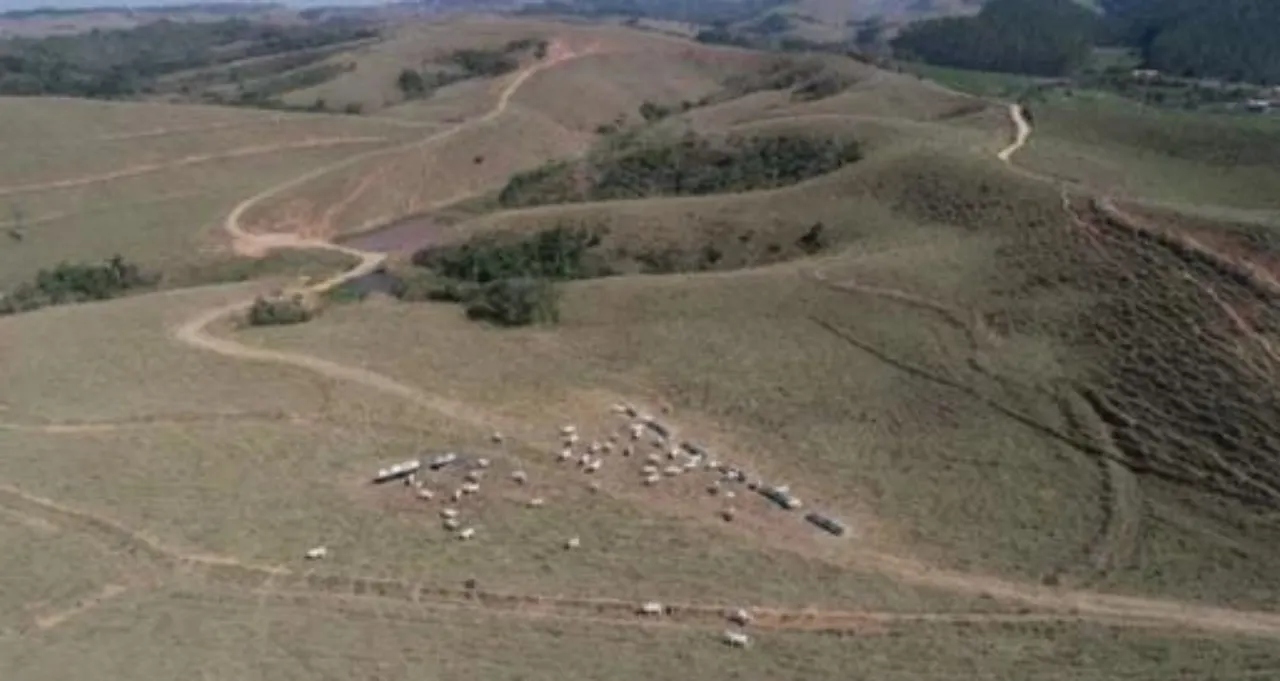 Fazenda à venda de 254 ha em Caçapava, SP, Brasil