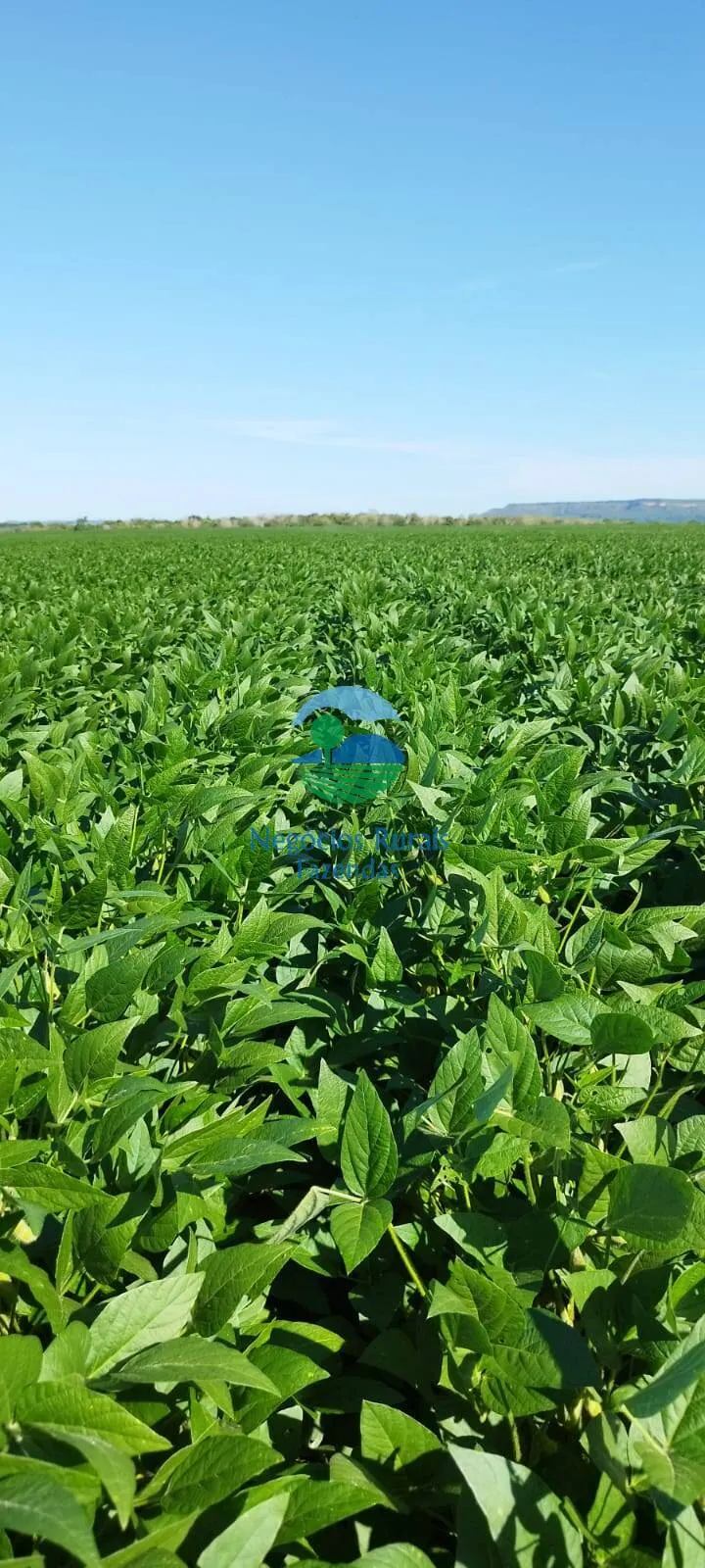 Farm for sale of 692 acres in Gurupi, TO, Brazil
