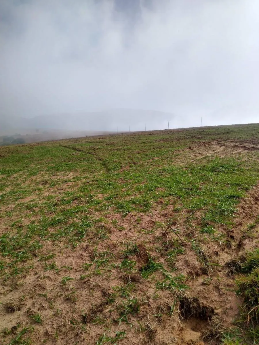Fazenda à venda de 307 ha em Santa Maria da Serra, SP, Brasil