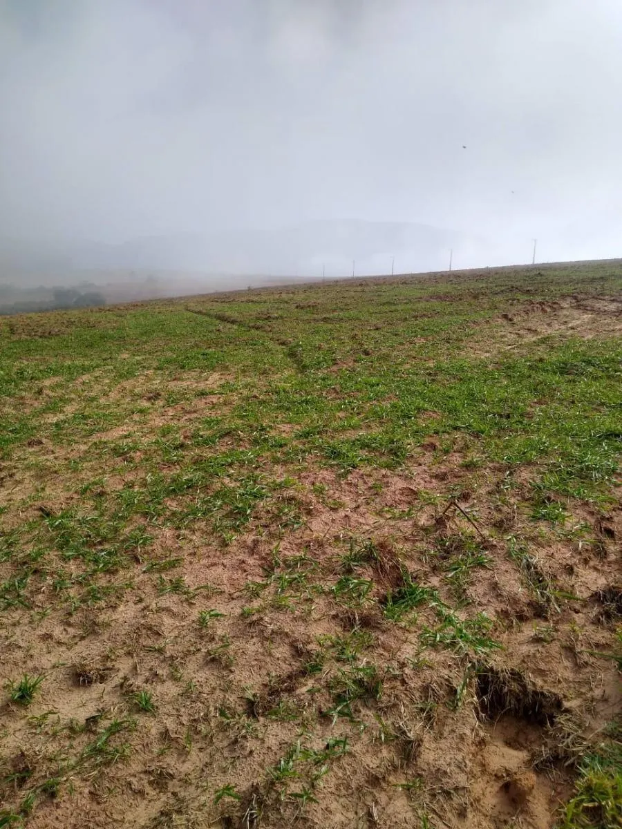 Fazenda à venda de 307 ha em Santa Maria da Serra, SP, Brasil