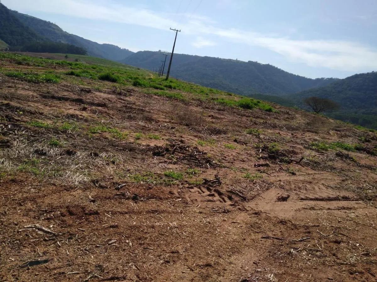 Fazenda à venda de 307 ha em Santa Maria da Serra, SP, Brasil