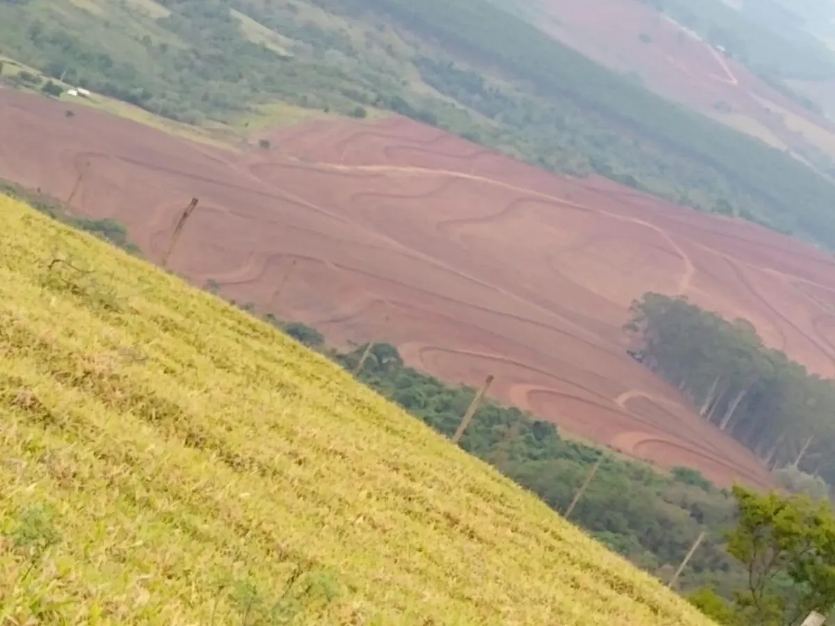 Fazenda à venda de 307 ha em Santa Maria da Serra, SP, Brasil