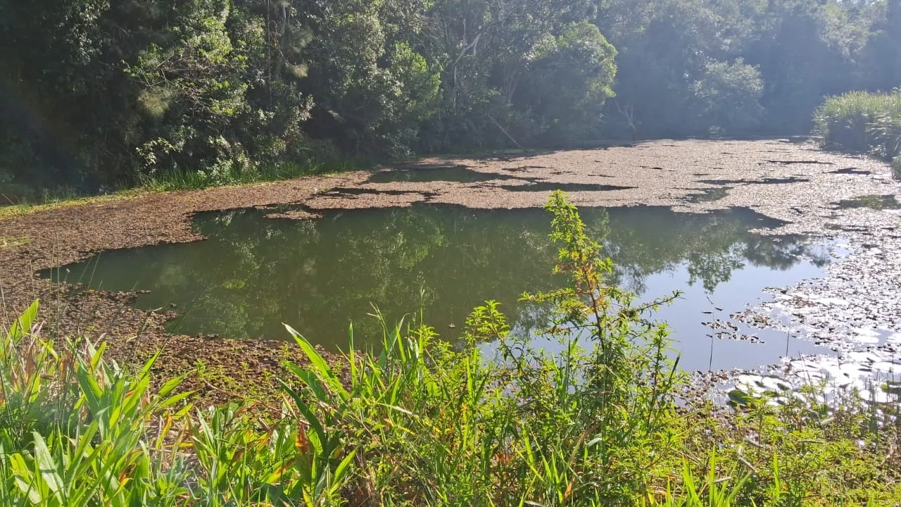 Sítio à venda de 24 ha em São Miguel Arcanjo, SP, Brasil