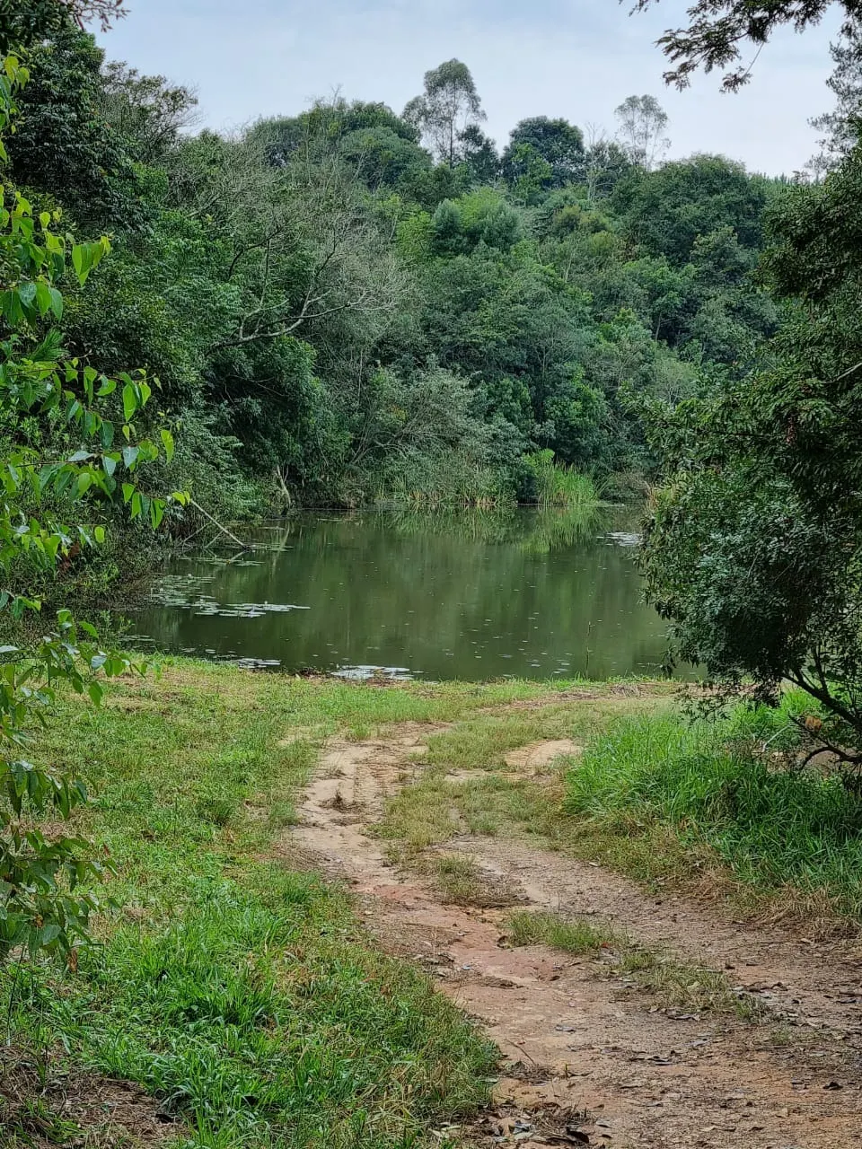 Sítio à venda de 24 ha em São Miguel Arcanjo, SP, Brasil