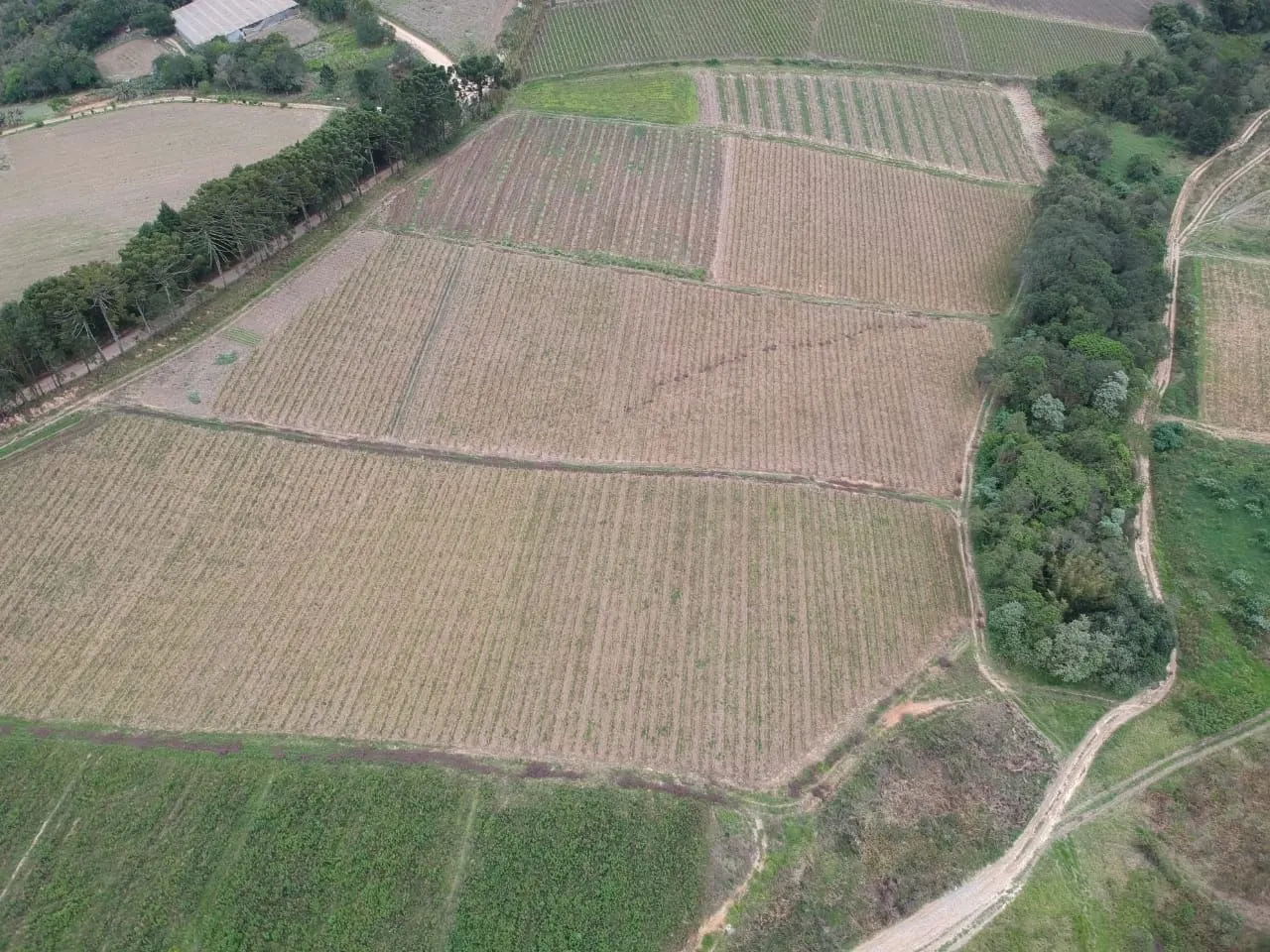 Sítio à venda de 24 ha em São Miguel Arcanjo, SP, Brasil