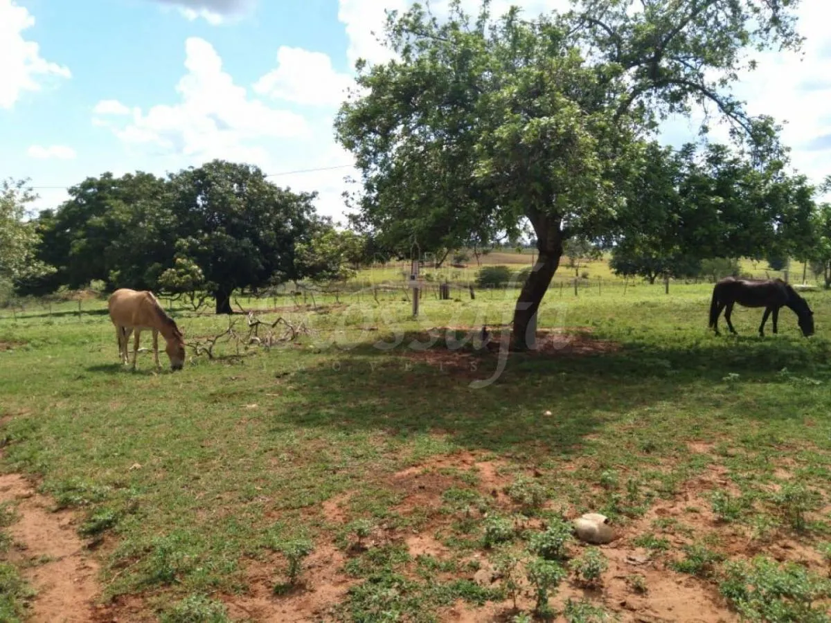 Small farm for sale of 24 acres in Três Fronteiras, SP, Brazil