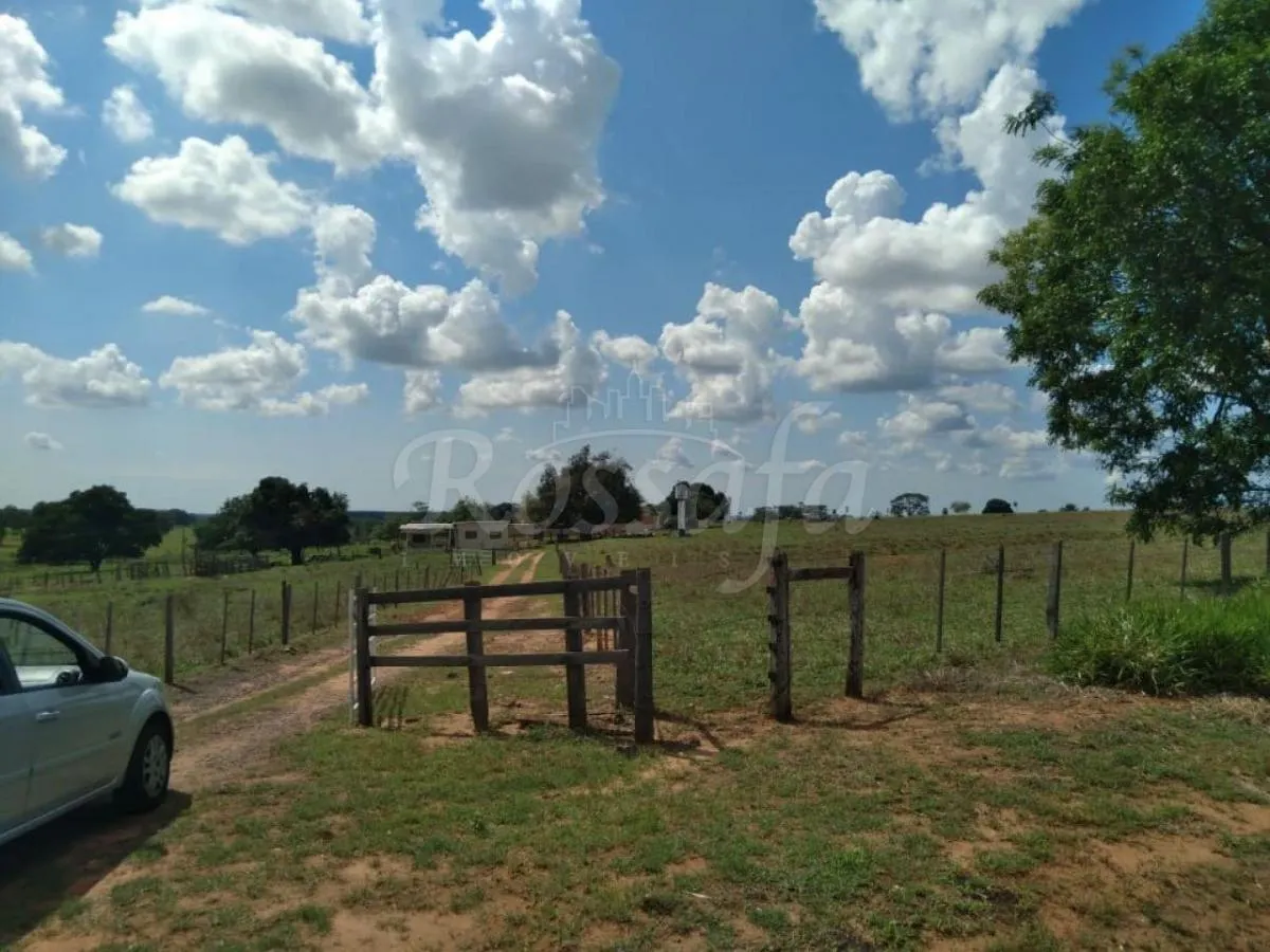 Small farm for sale of 24 acres in Três Fronteiras, SP, Brazil