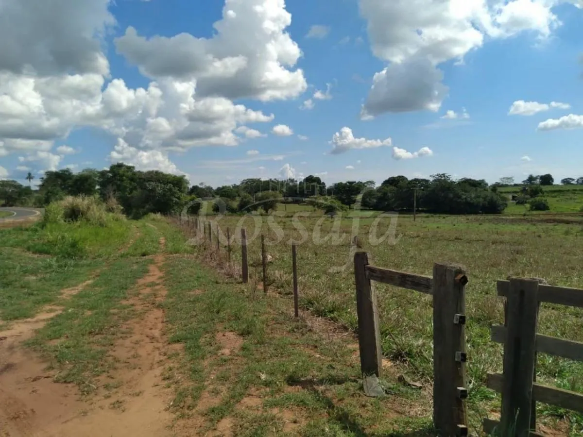 Small farm for sale of 24 acres in Três Fronteiras, SP, Brazil