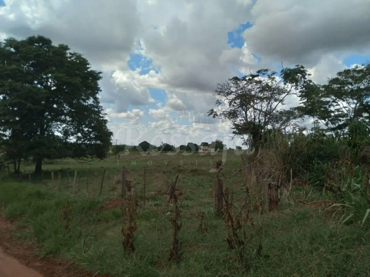 Small farm for sale of 24 acres in Três Fronteiras, SP, Brazil