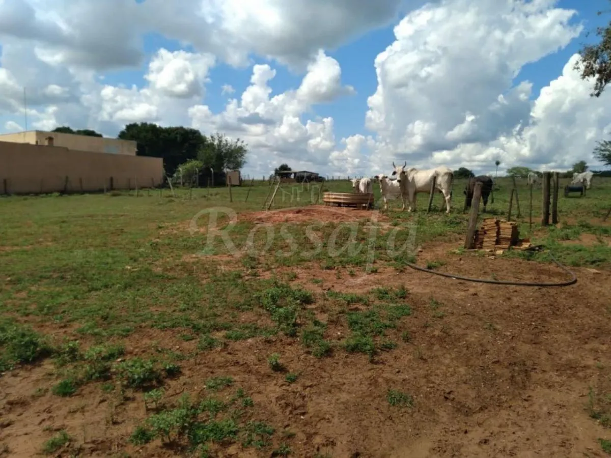 Small farm for sale of 24 acres in Três Fronteiras, SP, Brazil