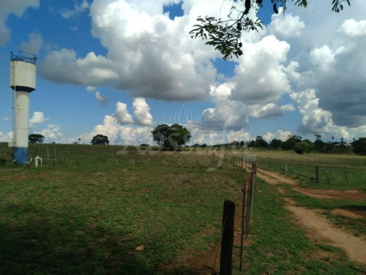 Small farm for sale of 24 acres in Três Fronteiras, SP, Brazil